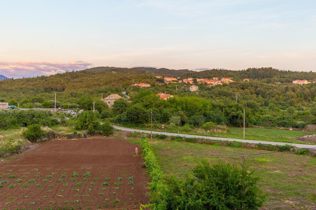 Konavle Apartments Zlatovisce 그루다 외부 사진